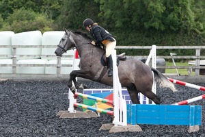 Class 3 -  Fences not above 2'3